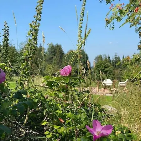 - Haus An Der Loipe * Altenberg (Erzgebirge)
