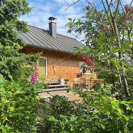 Tatil Evi - Haus An Der Loipe Altenberg (Erzgebirge)