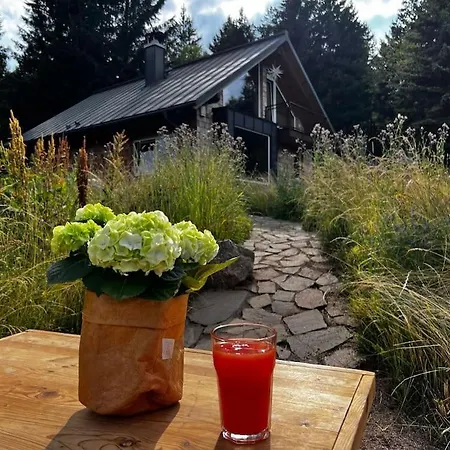 - Haus An Der Loipe * Altenberg