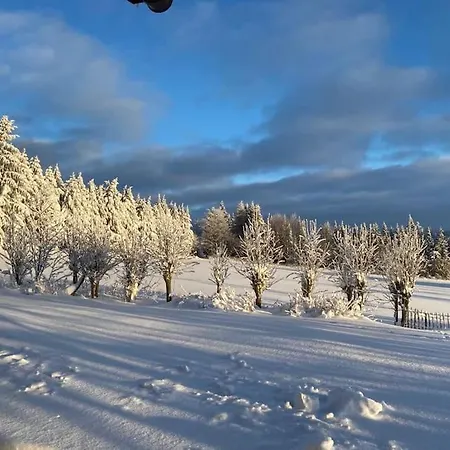 - Haus An Der Loipe Tatil Evi *