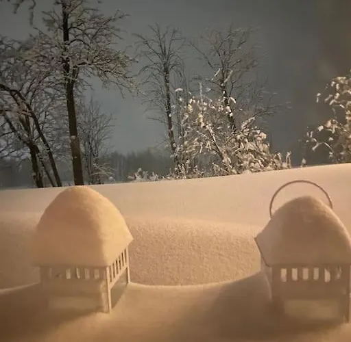 - Haus An Der Loipe Дом отдыха *