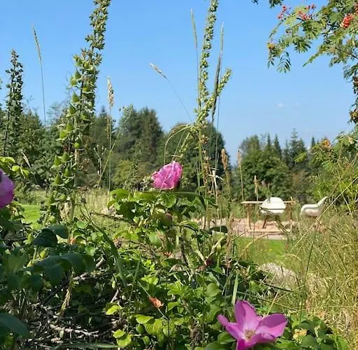 - Haus An Der Loipe * Альтенберг