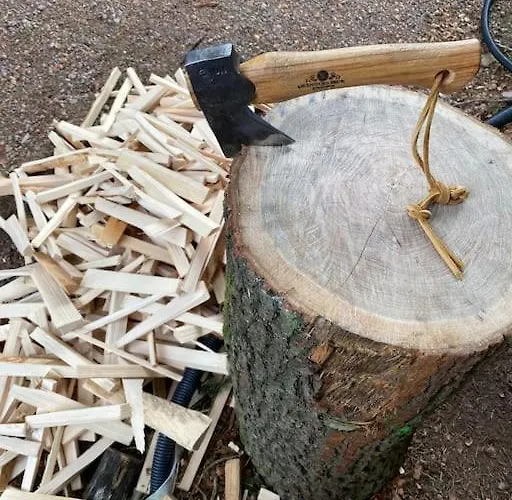 - Haus An Der Loipe Дом отдыха Альтенберг