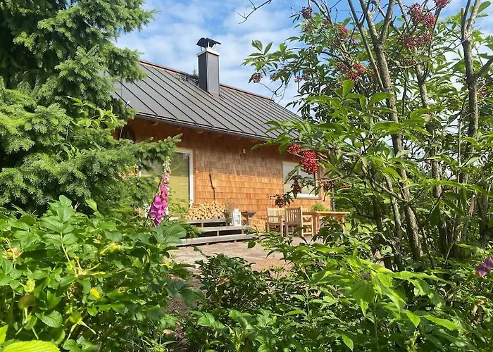 Дом отдыха - Haus An Der Loipe Альтенберг