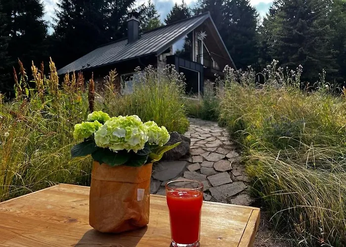 - Haus An Der Loipe * Альтенберг