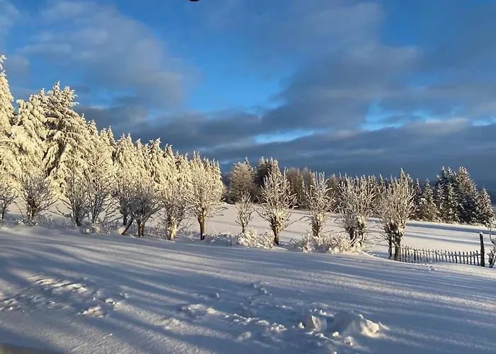 - Haus An Der Loipe Дом отдыха *