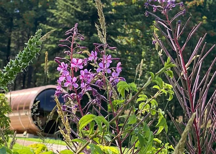 - Haus An Der Loipe Альтенберг